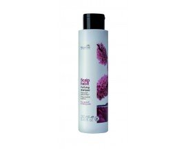 Nouvelle Scalp Habit Purifying Shampoo